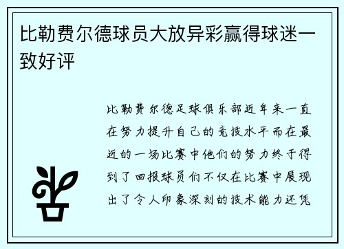 比勒费尔德球员大放异彩赢得球迷一致好评